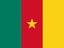 Cameroon flag